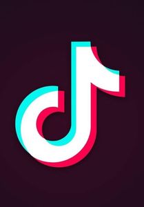 TikTok: Sicherer Stream für Brands geplant (Foto: facebook.com, TikTok)