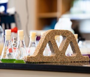 Lebendes Baumaterial mit Spezialform schützt das Klima (Foto: colorado.edu)