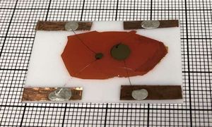 Neutronendetektor im 