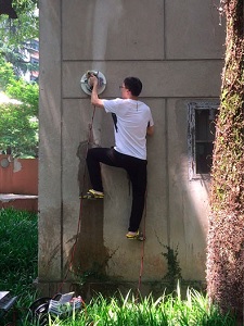 Kletter-Test: einmal die Betonwand hoch (Foto: Xin Li & Kaige Shi/AIP) Kletter-Test: einmal die Betonwand hoch (Foto: Xin Li & Kaige Shi/AIP)