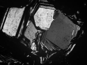 Mikroskopische Spezialaufnahme zeigt Borkarbid-Kristalle (Foto: tamu.edu)