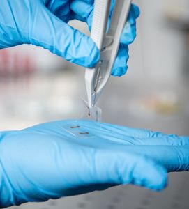 Kunststofffolie mit ultradünner ITO-Schicht realisiert (Foto: rmit.edu.au)