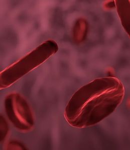 Freie Blutbahn: Naturstoff hilft bei Verkalkung (Foto: allinonemovie/pixabay.de) Freie Blutbahn: Naturstoff hilft bei Verkalkung (Foto: allinonemovie/pixabay.de)