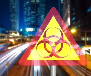 Virus: Gefahr für Chinas Autobranche (Foto: pixabay.com, geralt)