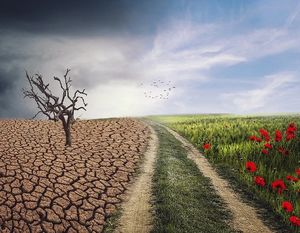Klimawandel: Bots mischen bei Debatte mit (Foto: pixabay.com, enriquelopezgarre)
