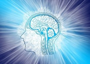 Gehirn im Fokus: Ictus-Reha ganzheitlich denken (Foto: pixabay.com, geralt)