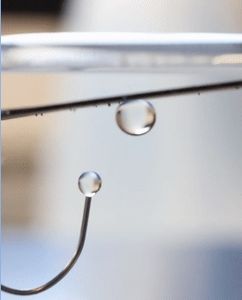 Vermiculit-Membran lässt Öltropfen nicht passieren (Foto: manchester.ac.uk)