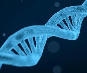 DNA-Doppelhelix: 3D-Struktur begünstigt Distrophie (Foto: pixabay.com, qimono)