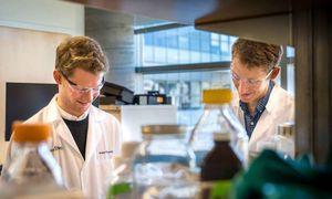 Wissenschaftler im Biolabor der University of California (Foto: ucsd.edu) Wissenschaftler im Biolabor der University of California (Foto: ucsd.edu)