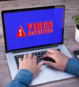 Schädlinge: in Dänemark am seltensten (Foto: Tumisu, pixabay.com)