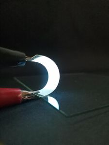 Neue Folie aus Fischschuppen ist äußerst flexibel (Foto: ACS Nano 2020)