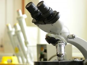 Mikroskop: Metastasenbildung erforscht (Foto: pixelio.de, Michael Bührke)