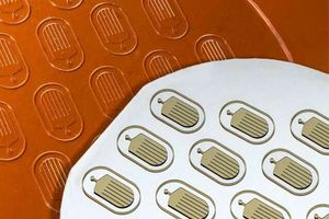 MIT-Innovation: Hüllen für lebende Insulinfabriken (Bild: F. Frankel, mit.edu)