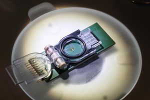 Magnetresonanztomograf (Zentrum) für Embryonen (Foto: Alain Herzog, epfl.ch)