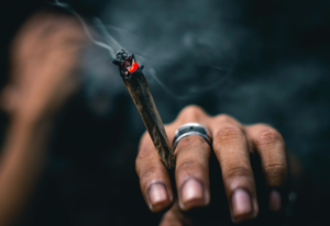 Marihuana: Junge Twitter-User prahlen (Foto: unsplash.com, Ahmed Zayan)