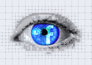 Facebook: Standortangaben stärken Transparenz (Foto: pixabay.com, geralt)