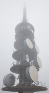 Kommunikation im Nebel (Foto: Crowes Agency)