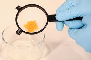 So sehen die Schwämme für den Chromeinfang aus (Foto: Alain Herzog, epfl.ch)