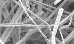 So sieht die Nickelfaser-Elektrode vergrößert aus (Foto: Wiley Lab, duke.edu)