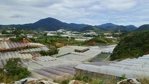 Dorf in Malaysia: Abholzung verändert Landschaft (Foto: exeter.ac.uk, C. Butler)