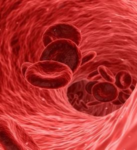 Blutplättchen im Gefäß: microRNA schützt Wand (Bild: pixabay.com, qimono)