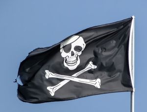 Piraterie: Google versteckt Webseiten (Foto: pixabay.com, dimitrisvetsikas1969)