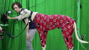 Motion Capture: Hunde lassen sich günstig digital vermessen (Foto: bath.ac.uk)