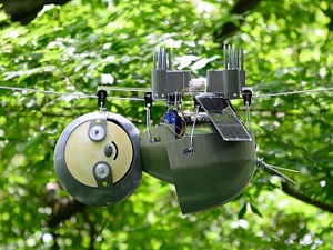 Einfach rumhängen: Das reicht für Naturschutz (Foto: Rob Felt, gatech.edu)