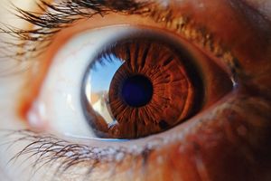 Auge: Alzheimer lässt sich hier früh ablesen (Foto: pixabay.com, coyot)