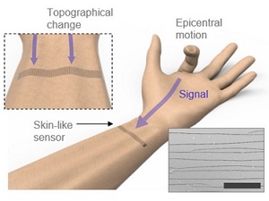 Neues Konzept: Information läuft am Handgelenk zusammen (Foto: kaist.edu/en)