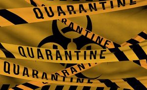 Quarantäneregeln gelten bei COVID-19-Verdacht (Foto: pixabay.com, Gam-Ol)