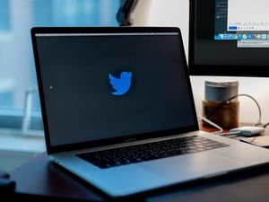 Twitter: Konzern will Bezahl-Abos umsetzen (Foto: unsplash.com, MORAN)