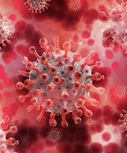 Coronaviren: Immunprotein LY6E wirkt hemmend (Foto: pixabay.com, geralt)