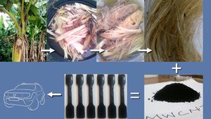 Aus Stängeln Bauteile fürs Auto (Bild: Patrick Ehi Imoisili, Therese van Wyk) Aus Stängeln Bauteile fürs Auto (Bild: Patrick Ehi Imoisili, Therese van Wyk)