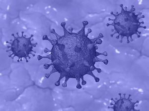 Coronaviren: möglicher Frühindikator erkannt (Bild: TheDigitalArtist/pixabay.de)