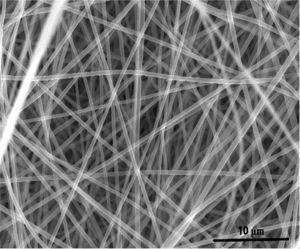 PET-Fasern unter dem Elektronenmikroskop (Foto: Mihri & Cengiz Ozkan, ucr.edu)