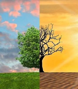 Massiver Klimawandel: Forscher berechnen BIP-Folgen (Foto: pixabay.com, Tumisu)
