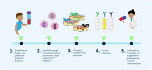 Antikörperanalyse (Grafik: Proteona Antibody Protection GmbH )