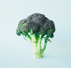 Broccoli: gemüse bietet Schutz für die Aorta (Foto: unsplash.com, Annie Spratt)