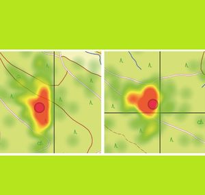 Heatmaps zeigen, worauf Probanden ihren Blick richten (Bild: Frank Dickmann)