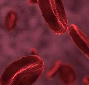 Blutzellen: Forscher untersuchen Krebszellen (Foto: pixabay.com, allinonemovie)