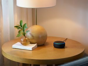 Alexa: nun auch Service für Immobilienverwalter (Foto: amazon.com)