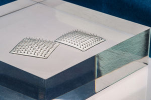 Lebensmittel-Sensoren: prüfen Frische (Foto: Felice Frankel)