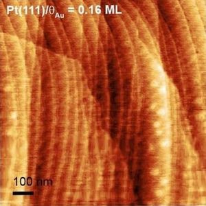 Gold (heller) auf Platin: Sorgt für mehr Haltbarkeit (Foto: ANL)