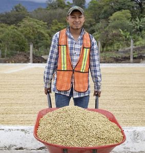 Kaffeebohnen: Österreicher kaufen mehr Fairtrade-Kaffee (Foto: fairtrade.at)