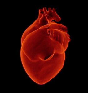 Herz: Mit neuem Biochip gegen Infarkt-Folgen (Foto: pixabay.com, sbtlneet)