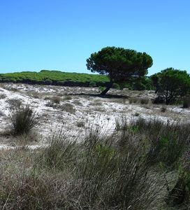 Am Meer: Italienische Forscher überwachen Küsten (Foto: suesun, pixabay.com)