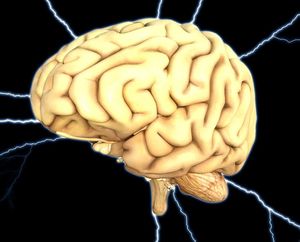 Gehirn: Fake News verbessern das Gedächtnis (Foto: pixabay.de, TheDigitalArtist)