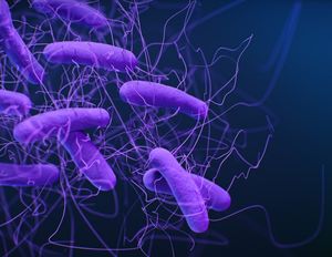 C. difficile: Tödliches Darmbakterium (Foto: CDC, unsplash.com)