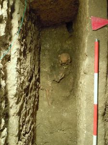 Ausgrabung: Forscher nehmen Überreste unter die Lupe (Foto: usf.edu)